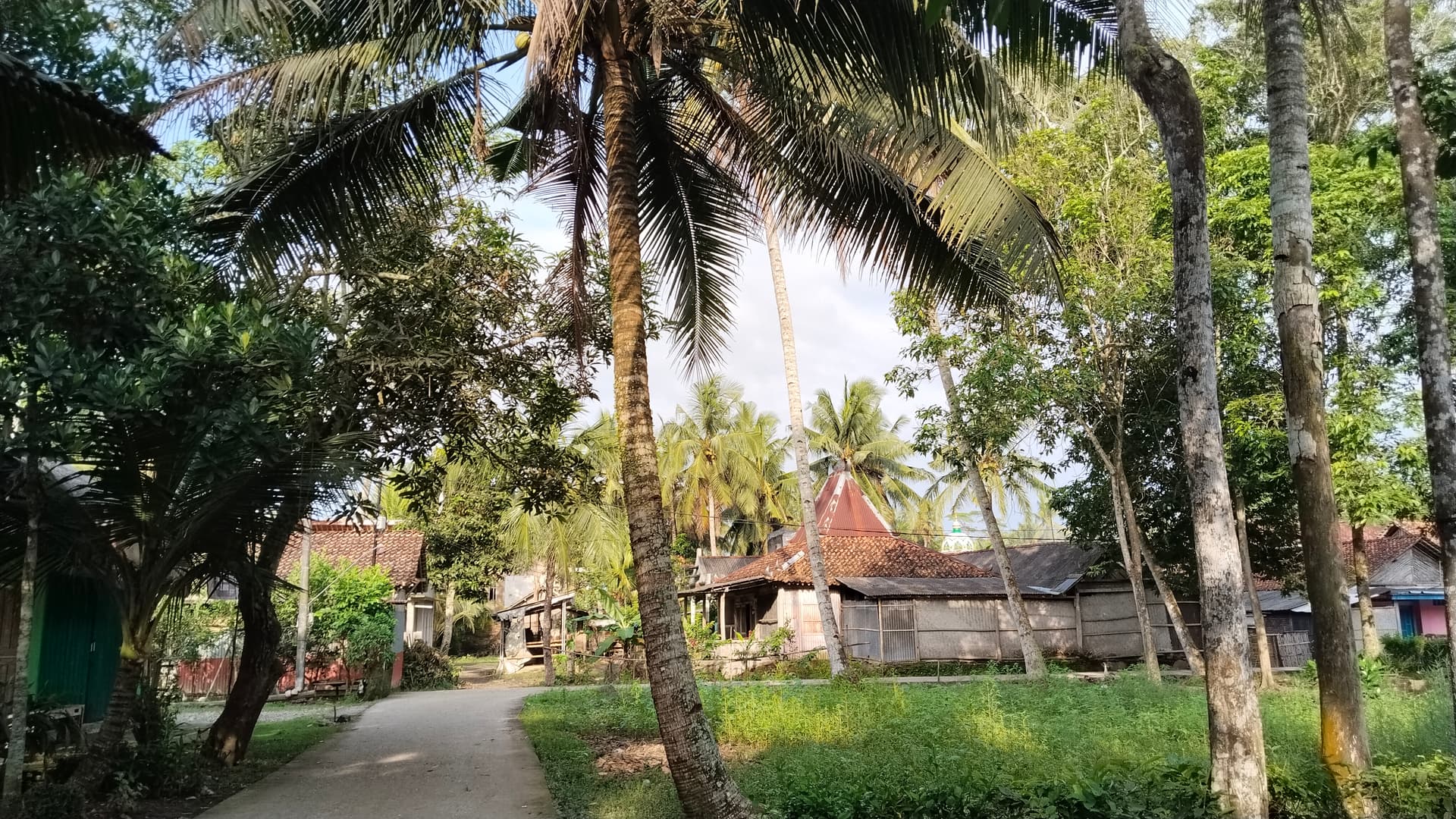 Profile Image 13